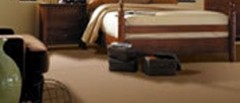 carpet-care-large