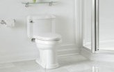 toilet-large