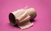 empty roll of toilet paper