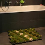 inhabitat (1)