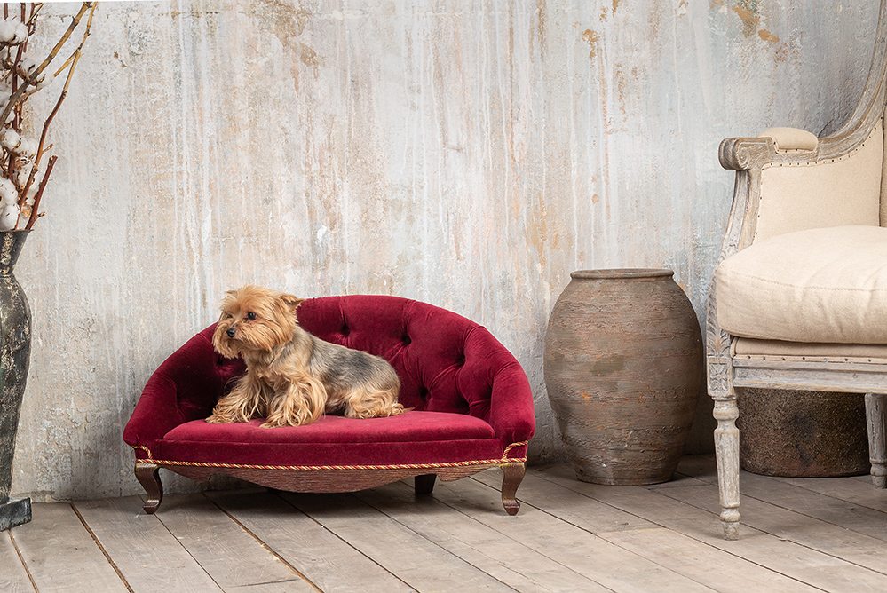 How to Pet Proof Your Home Without Compromising Style
