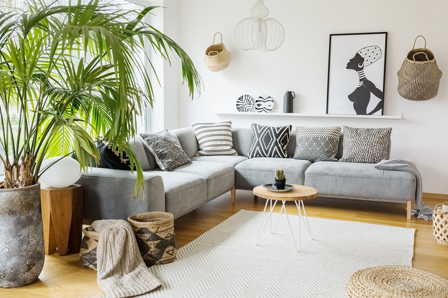 Indoor Plants that Spark Joy | thehome.com