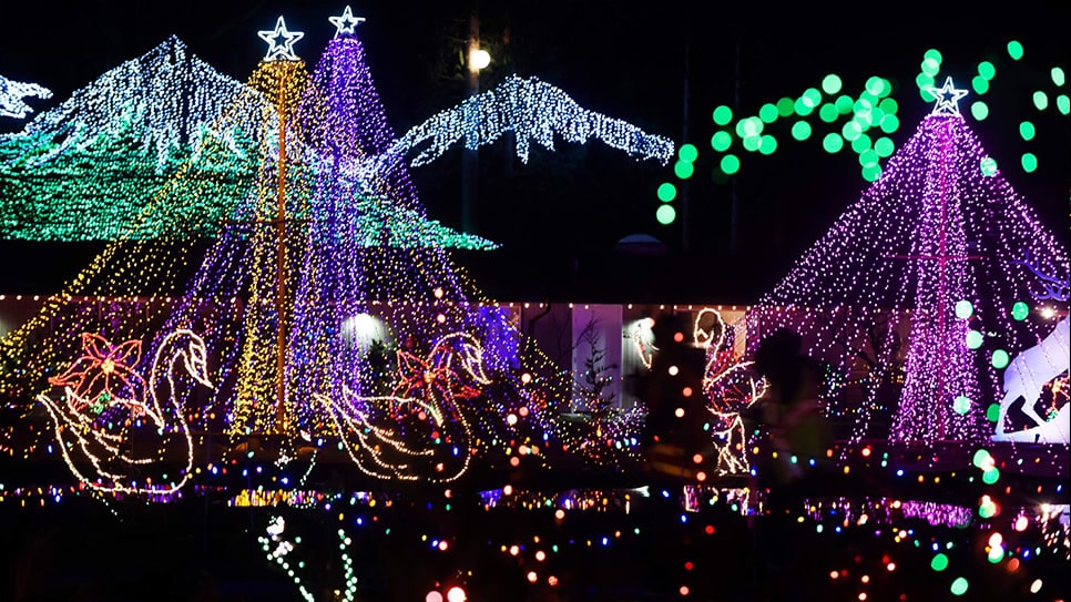 A spectacular array of Christmas Lights at night.